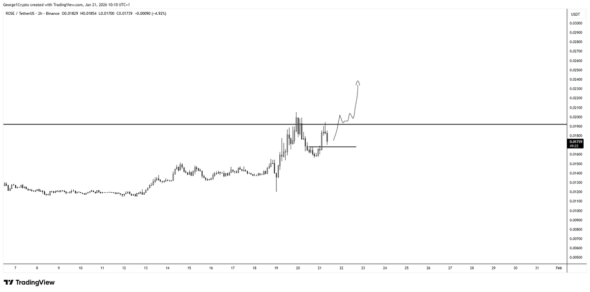 $ROSE Strongest bouncer after yesterday dump. I'm back in some longs here but will add full size on the HTF range low reclaim at $.02, if we get it ofc...