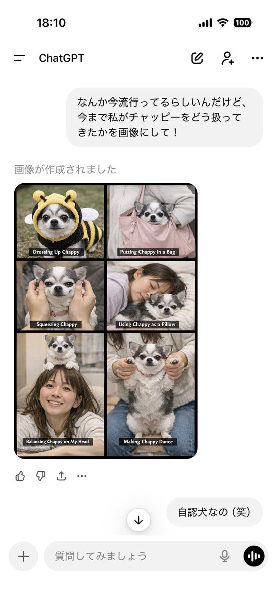 うちのチャッピー自認犬だった