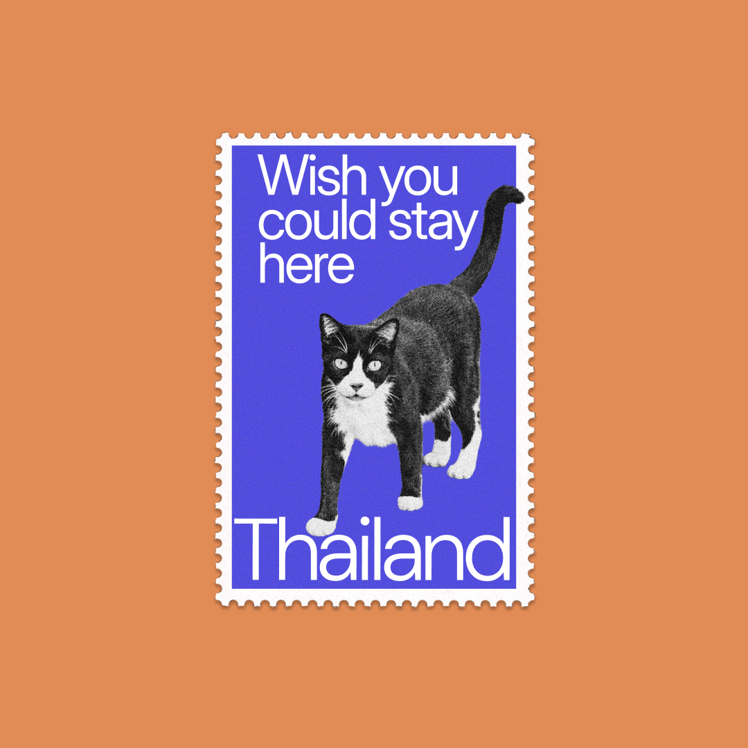 srinivas_design's tweet photo. Converted all my favourite pictures into stamps. https://t.co/jdnRhB3I5T