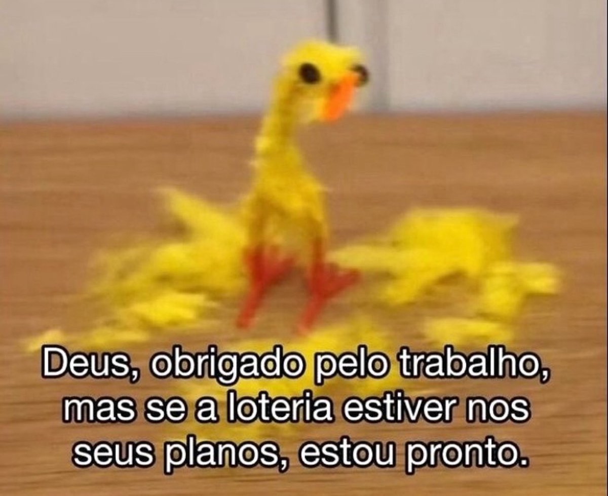 soudesabafosofc's tweet image. 