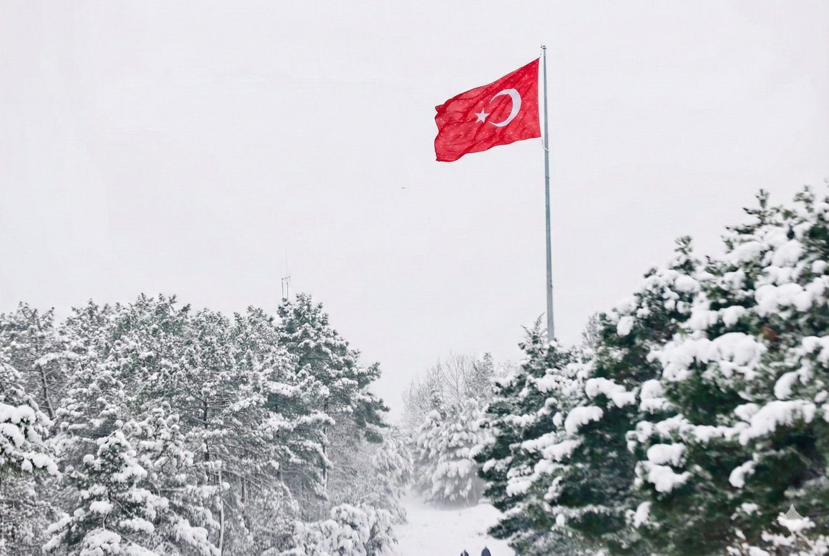 alitombastr's tweet photo. Dalgalandığın yerde ne korku ne keder🇹🇷 https://t.co/bvmZYjhSdL