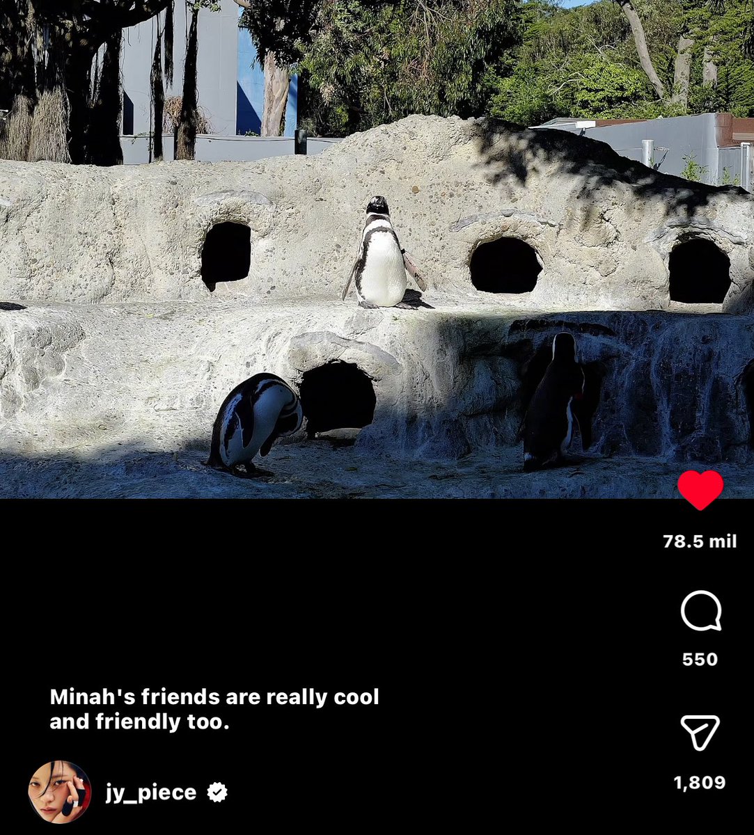 myotwi's tweet image. “Mina’s friends are really cool and friendly too” 😭