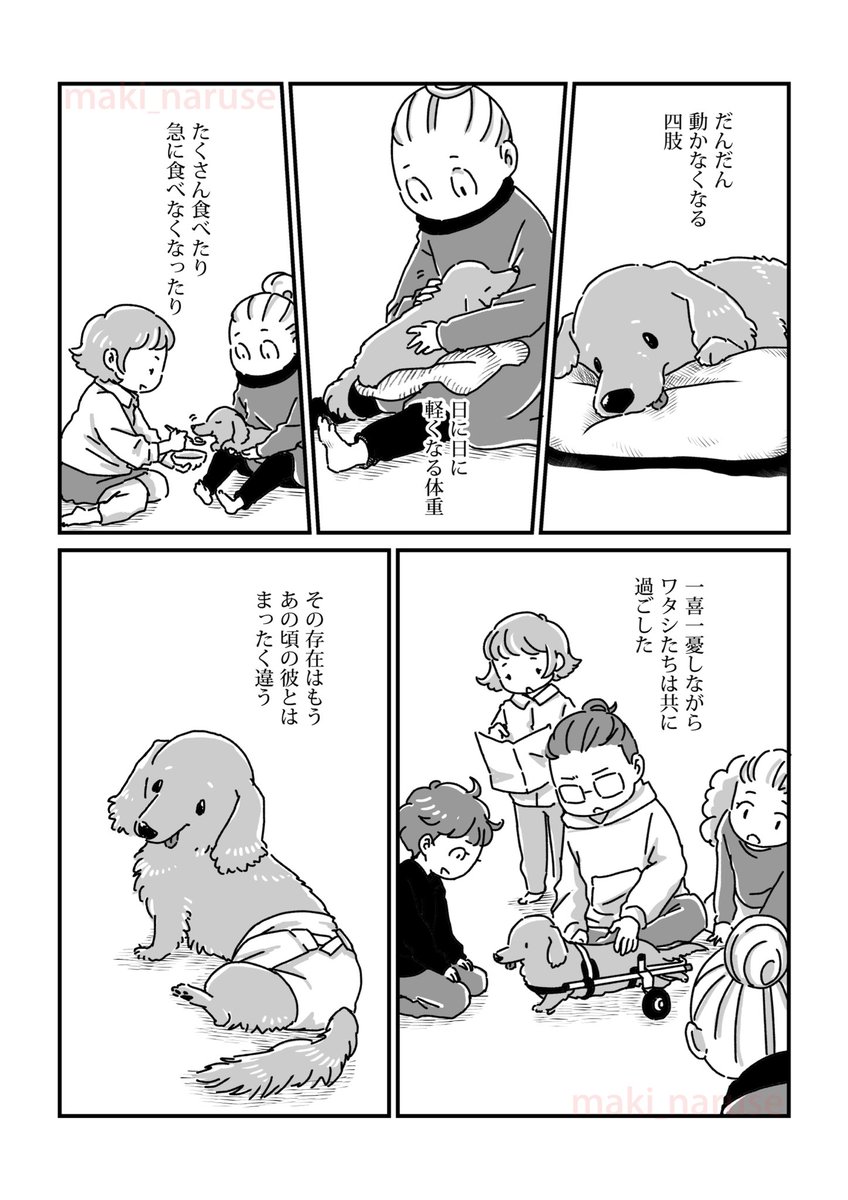 【再掲】「ワタシの人生にとうとう犬がいなくなってしまった」(4/5) 