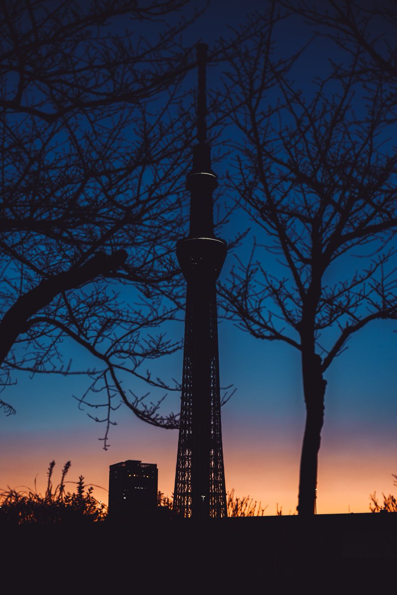 asuka_photo30's tweet photo. Tokyo Blue Hour https://t.co/XePO6ou68f
