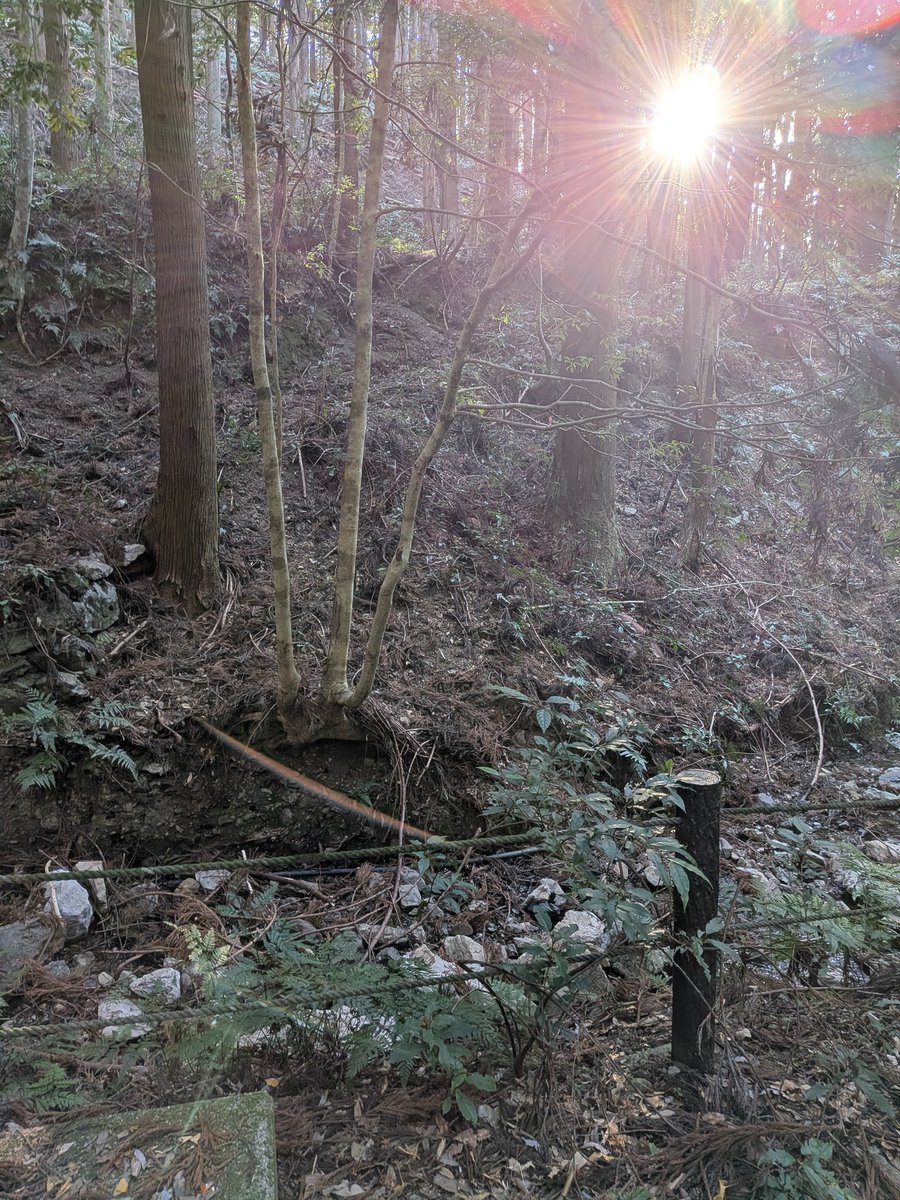 天の岩戸散策。

散策らしい。散策だけどね。
なだらかな坂を歩くのも息が絶え絶えなのに。

マダムをどこに連れて行くのだー！？
置いてけぼりにされたら
発作起こしたら!?

人は完全に思考で動かされている。

常に後ろのマダムを背中で感じている御仁。
任せたらいいのだよ。