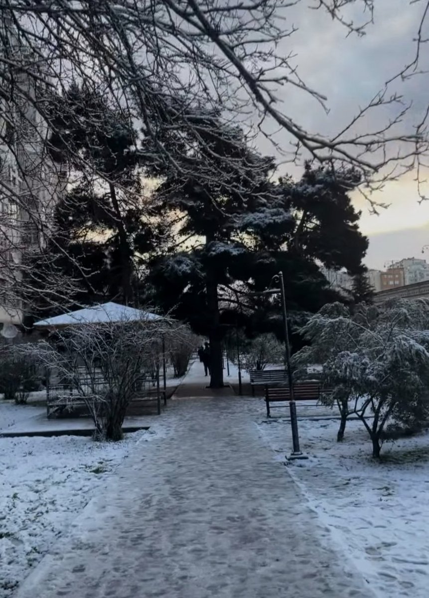 Belə qar mı olar heçbir mövzuda yox, bu mövzuda Rusiyadan örnək al