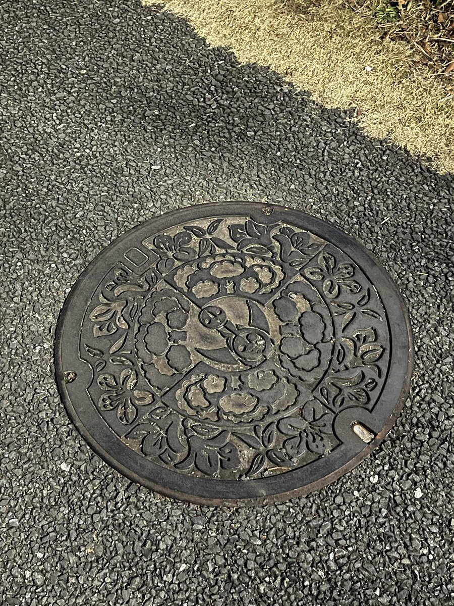 階段見ながら降りてるのに
踏み外すとか謎のミラクル起きたよ。
何で落ちひんかったんやろ。ミラクルやー。

ここら辺はマンホールにも
主が真ん中にいててほっこりするよ。
このデザインのコースターとかほしいなー。

ダダンダダッ。水曜おつですござるす☻⋆͛⋆͛