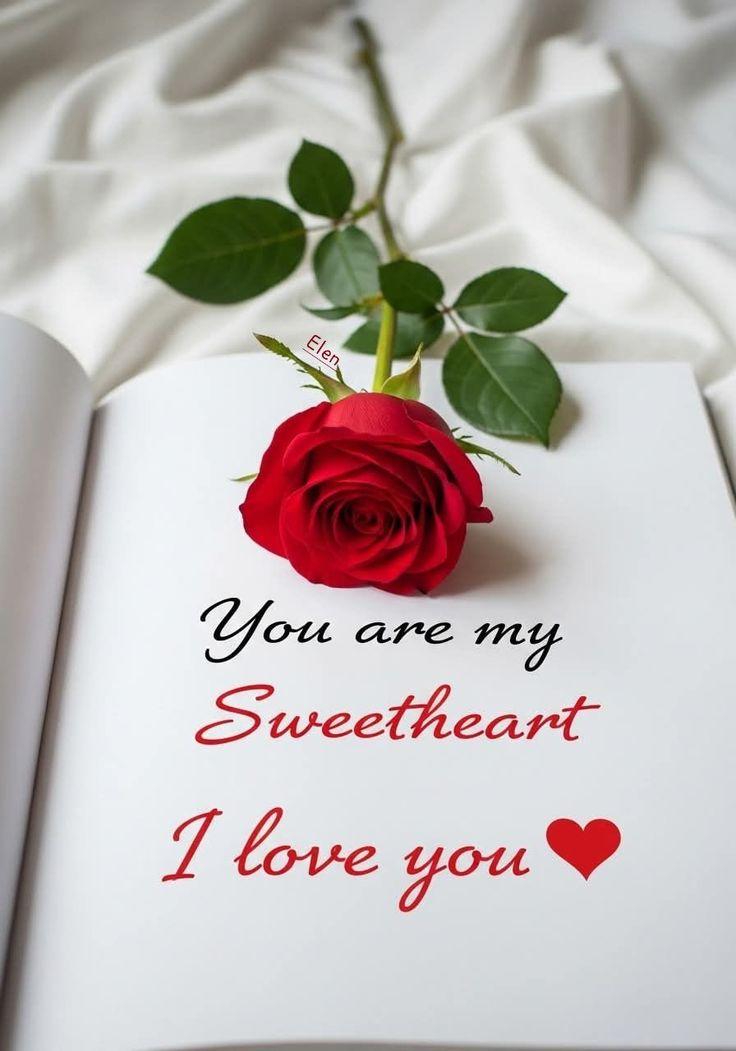 Velvityrose_'s tweet photo. https://t.co/cUPtHtVldx