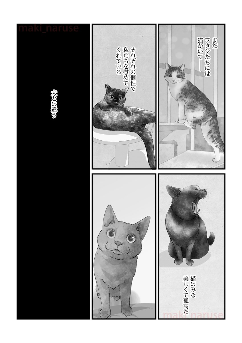 【再掲】「ワタシの人生にとうとう犬がいなくなってしまった」(5/5)
たくさん見ていただいたこちらの漫画ですが3月に発売される「何度でも言うね、大好きだよ~愛犬グミと銀次郎と過ごした日々」に加筆したバージョンが収録されます。
そちらもまた是非読んでいただきたいです。
・Amazonストア