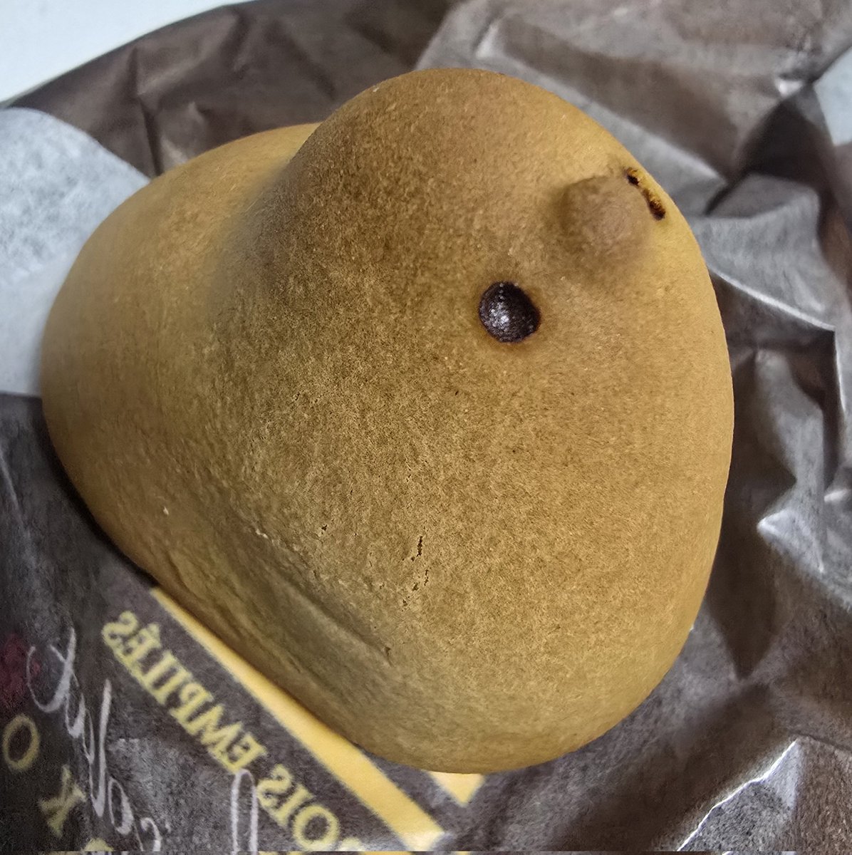 紅兎(くと) / 糖分過多 tweet media