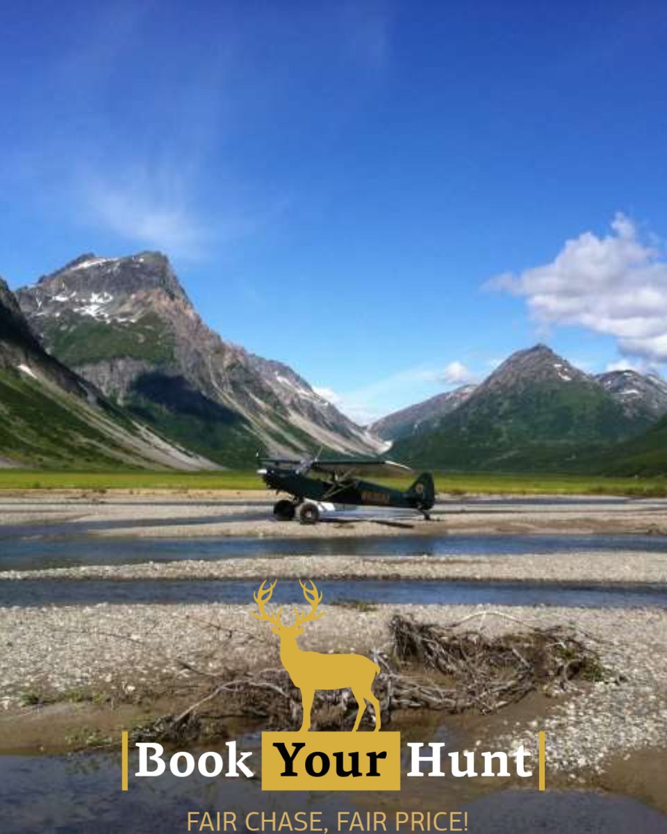 BookYourHunt tweet media