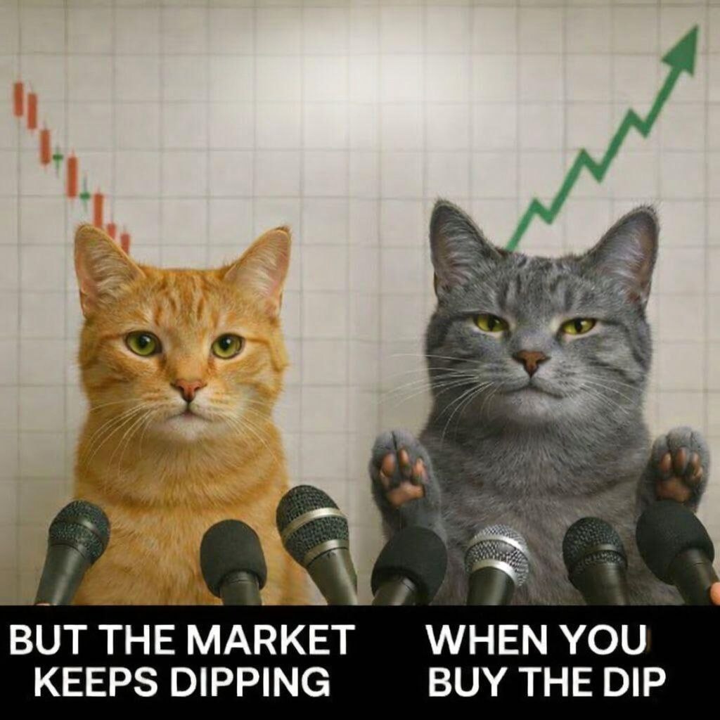 Donetwork_club's tweet image. 📉 Market dips, people panic…
🐱 But DONetwork stays strong.
💡 Fear makes you sell, vision makes you build.

#DoNetwork #CryptoLife #BuildTogether #NetworkEffect #CryptoMindset
