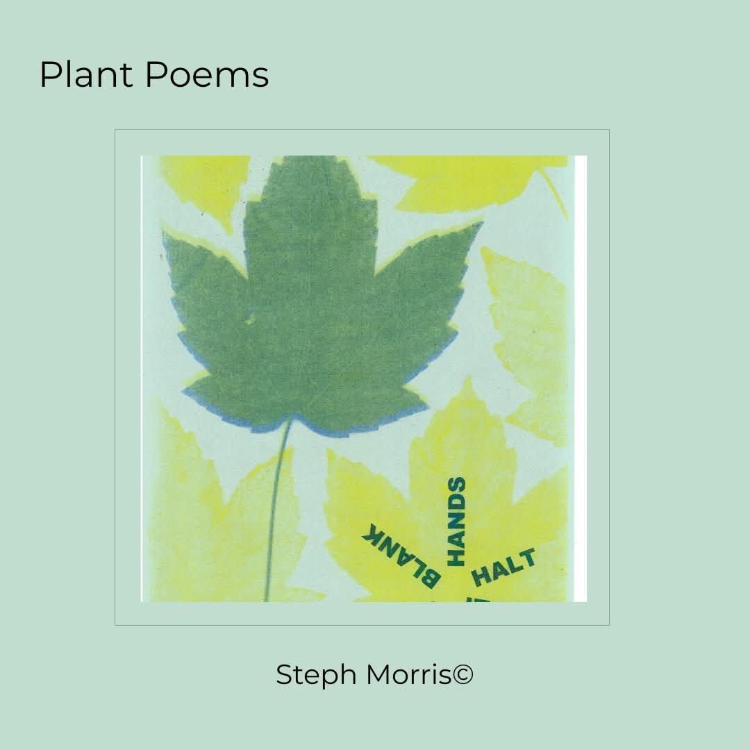 InkSweatTears's tweet image. Our latest word &amp;amp; image feature is three Plant Poems by Steph Morris. Each is a playful, flamboyant interpretation which provokes us to look at common foliage at a slant. @herr_morris

See them here: inksweatandtears.co.uk/steph-morris-4/

#NaturePoetry #InkSweatAndTears #WordandImage