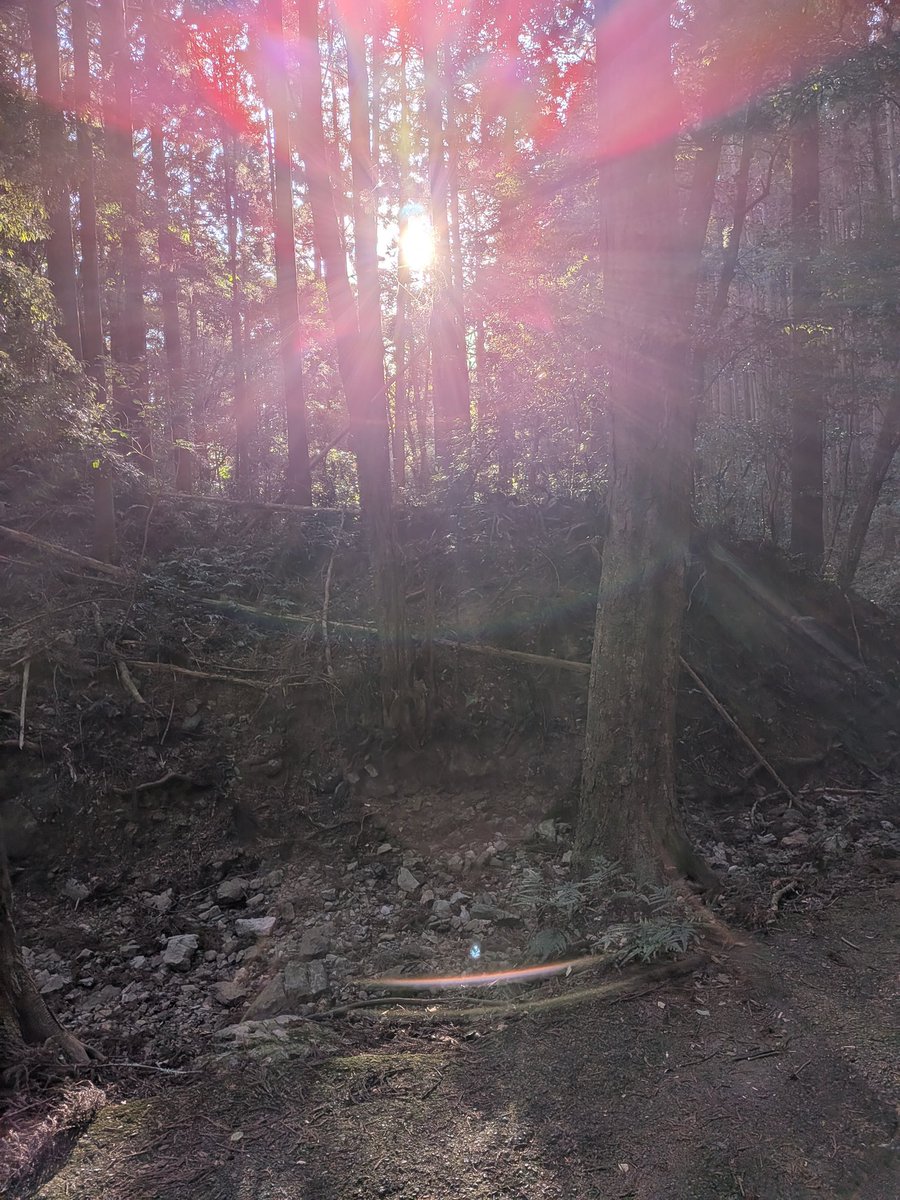 いつも辿り着いたら
ご褒美のようにマダムを喜ばせてくれる✨

山の神さま。
水の神さま。

苦しかったり
嬉しかったり
信心とは手に届く中にあるものだと。

太陽のひかりの世界を視せていただける時
考えずに手を合わせてしまうのも信心なんだろう。