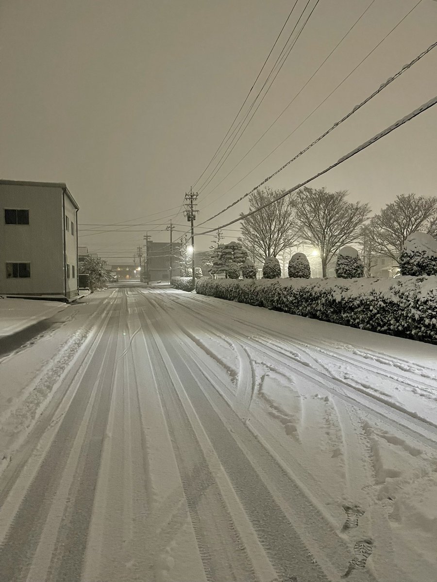 DawnSong's tweet image. 現在の馬場状態