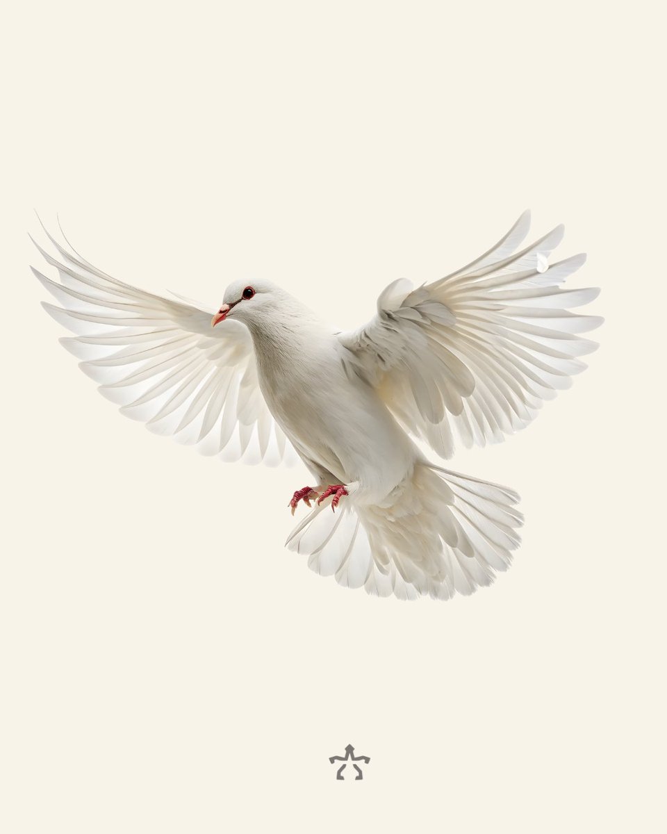ngenforce's tweet photo. Today's lesson on the underestimated story behind peace... Subscribe to an evolutionary education with daily microlearning on https://t.co/t4ntiXjNlE, The New Wise Tribe

#worldpeace #peace #humanity #evolution #agreement https://t.co/NpYFdhmitA
