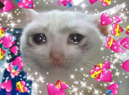 Bblk🥒 tweet media