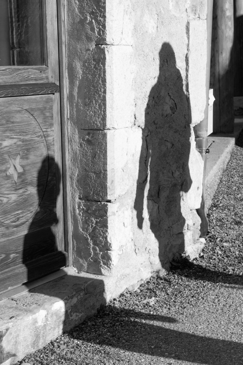 tomatodsn's tweet photo. dernières ptites photos que j’ai prises en noir/blanc https://t.co/YzjBlAR3Vh
