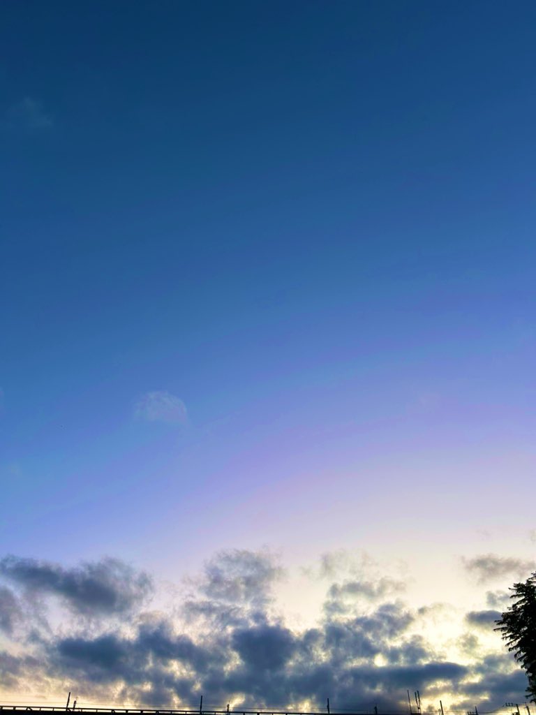 #魅力のある青を見せてください見た人全員強制

🐺✨｛ワクワク