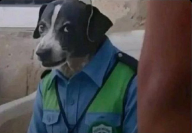 Traffic officers after finding all your documents are valid. 

“Why are you breathing while driving?”