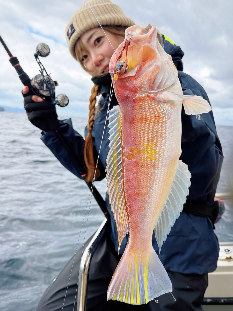 のぞみ (@_dschinghiskhan) / Posts / X