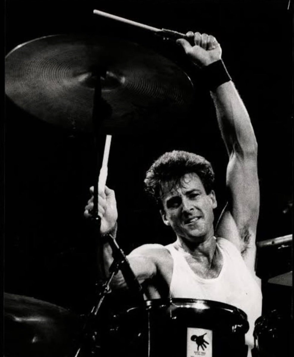 RADIOLARIA tweet media