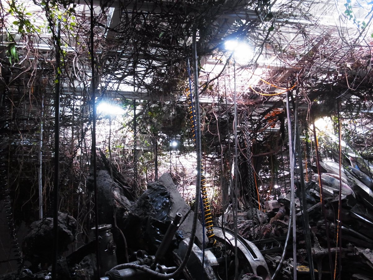 _somuch_blue's tweet image. sf 좋아하는 소녀들아…나 적군의언어 보고왔어…&amp;gt;인류가 사라진 세상&amp;lt;이 이 전시의 세계관임
이 건물 전체가 인류 이후의 세계를 그리고 있어서 잠시 수만년 뒤 미래로 갔다온 듯한 착각이 듦🥹 sf 좋아하는데 웨않가…2/1까지래…