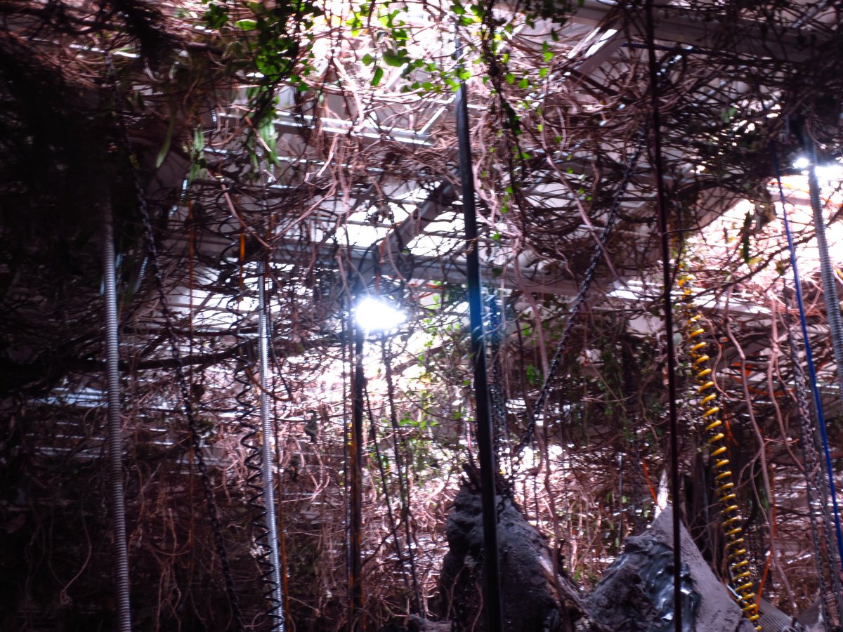 _somuch_blue's tweet image. sf 좋아하는 소녀들아…나 적군의언어 보고왔어…&amp;gt;인류가 사라진 세상&amp;lt;이 이 전시의 세계관임
이 건물 전체가 인류 이후의 세계를 그리고 있어서 잠시 수만년 뒤 미래로 갔다온 듯한 착각이 듦🥹 sf 좋아하는데 웨않가…2/1까지래…