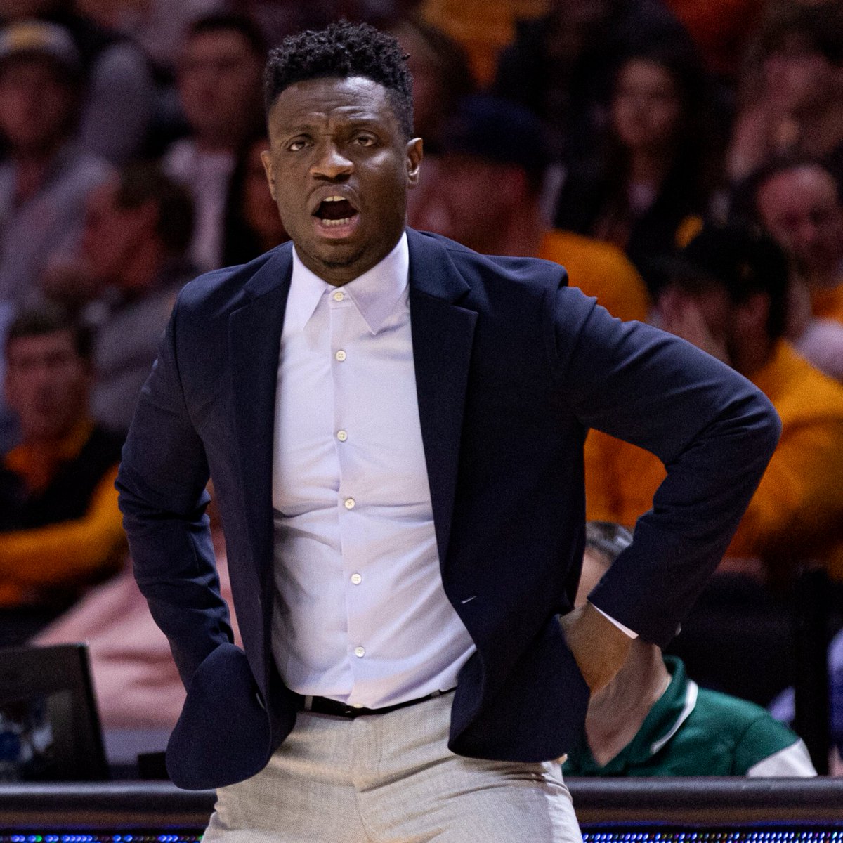 College Basketball Content tweet media