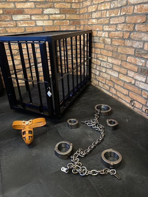 Daddy666 tweet media