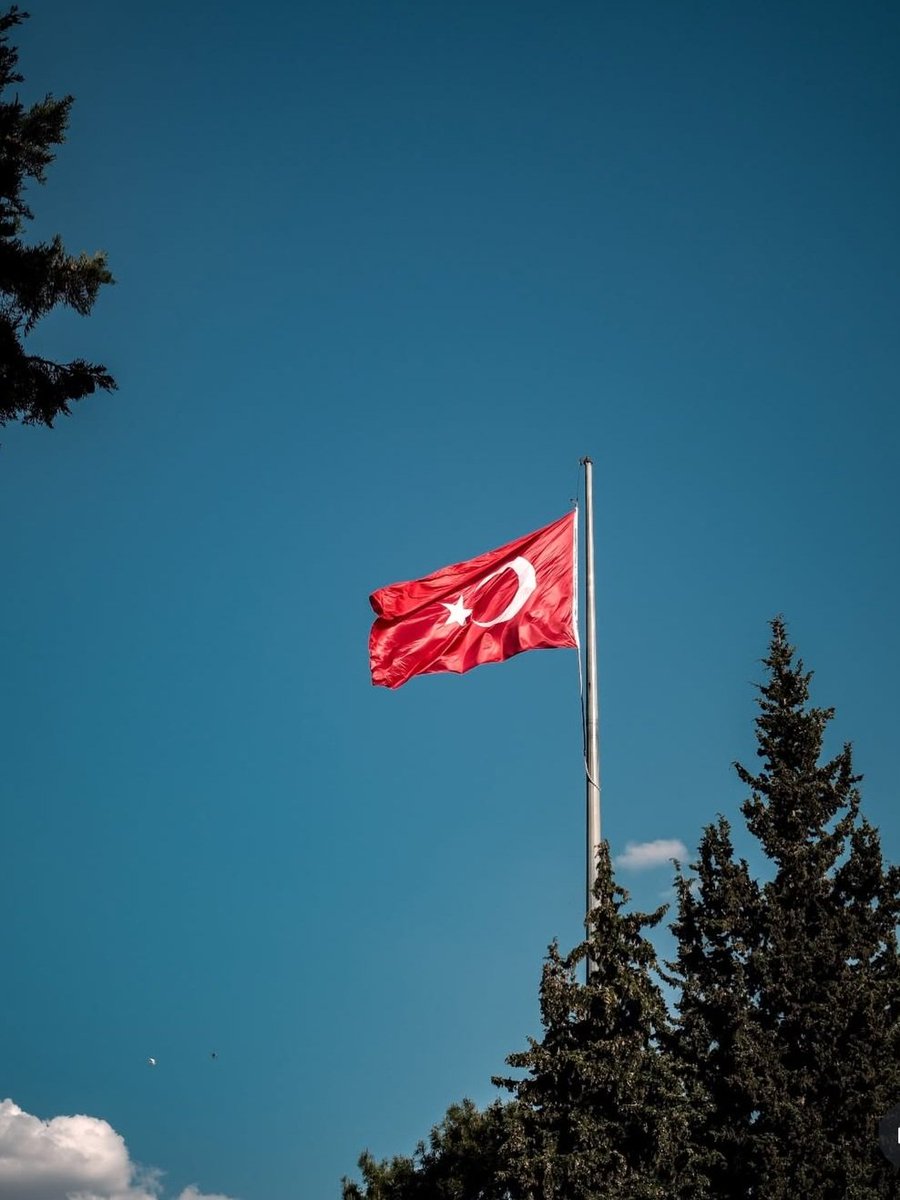 Kenan Baştuğ tweet media