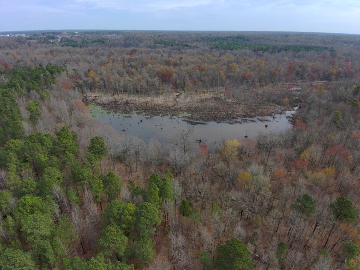 Capital Region Land Conservancy tweet media