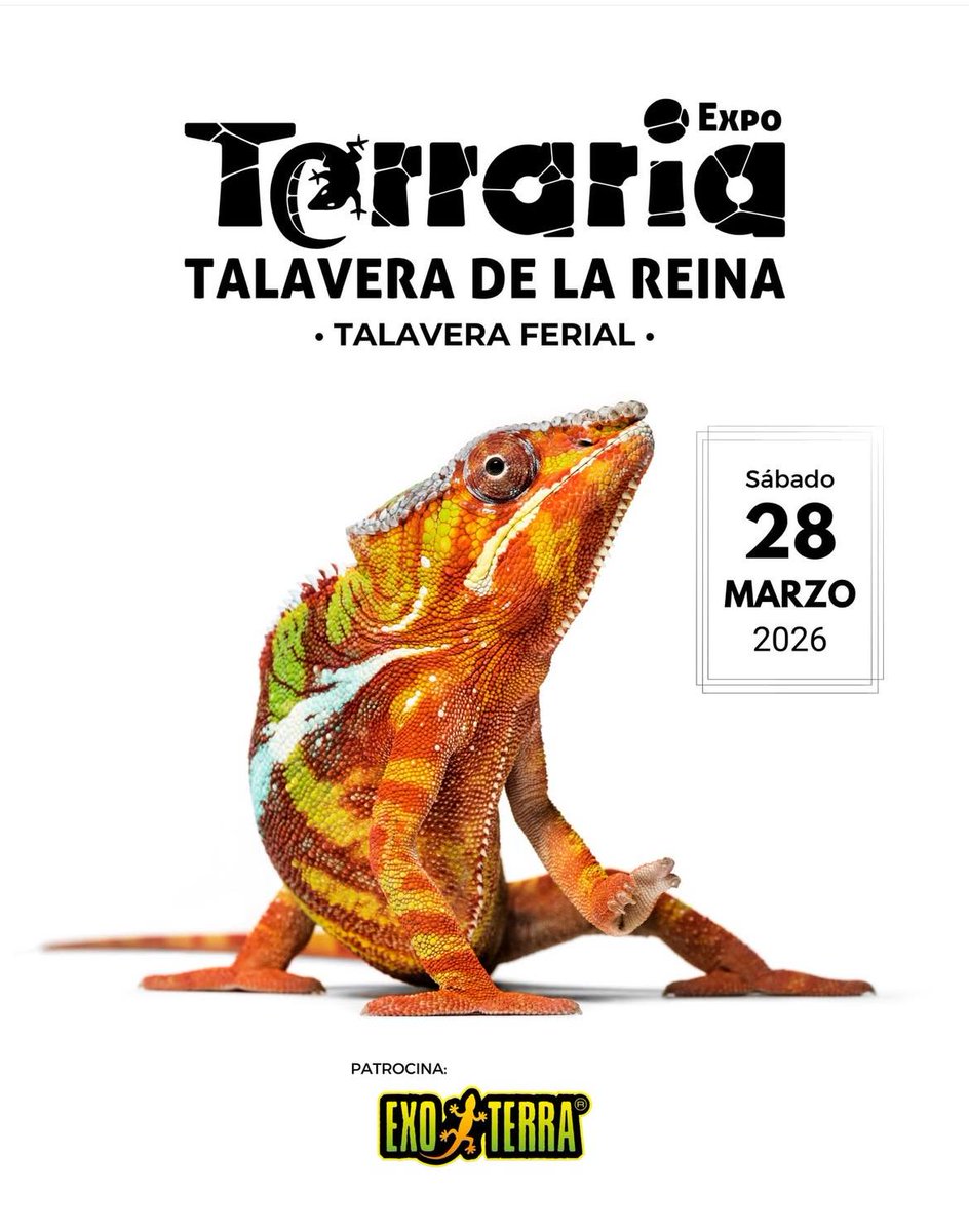 Talavera Ferial acoge la 71ª Expoterraria el sábado 28 de marzo.
Un evento para los amantes de los reptiles, anfibios, invertebrados, pequeños mamíferos y plantas

🕙 10:00 a 18:00 h
📍 Talavera de la Reina

#talavera #exporterria #talaveraferial