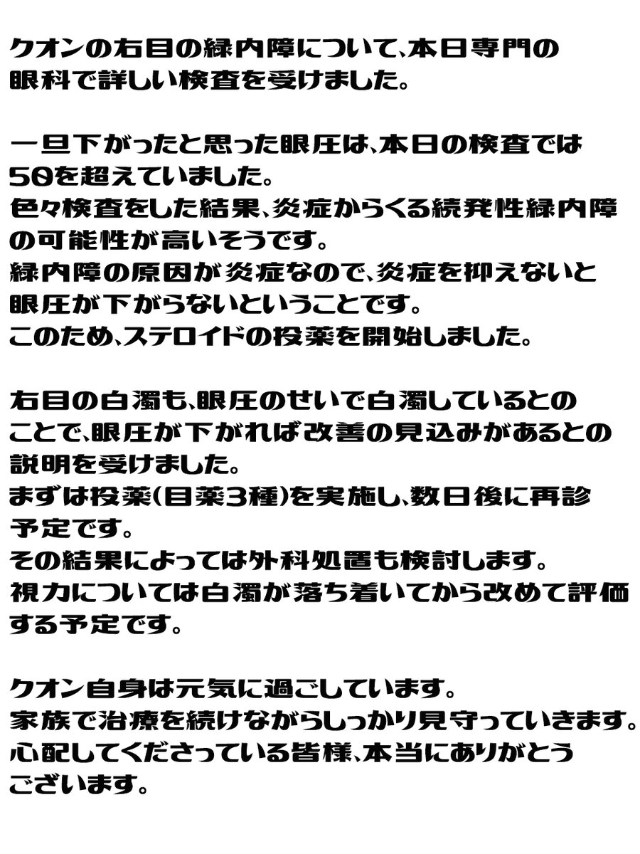 クオンとかいぬし tweet media