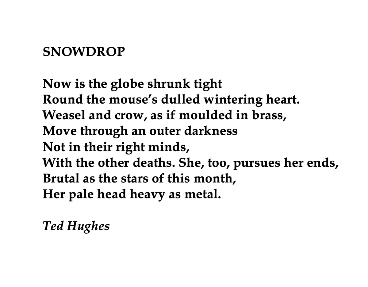 Gugly0Remedied's tweet photo. @beatricegroves1 Reminds me of my High School poem 😁
#SpringofLife https://t.co/xBbG7MSyt9