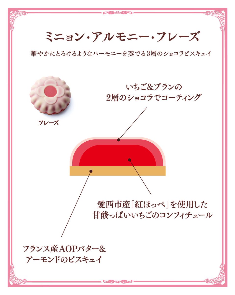 🏰アムール・デュ・ショコラ人気商品 ◉ミニョン・アルモニー