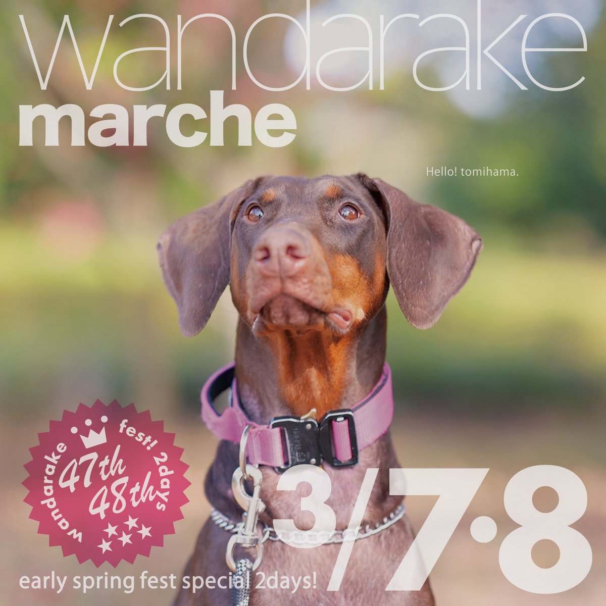 わんだらけ公式【wandarake】 (@WandarakeM) / Posts / X
