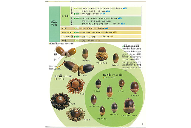 【連載】唄は農につれ農は唄につれ
最新回を更新です。
kikanchiiki.net/archives/6070

今回は誰もが知る「どんぐりころころ」について。
大正デモクラシーが生んだ傑作童謡は不吉な予言の歌でもあった!?