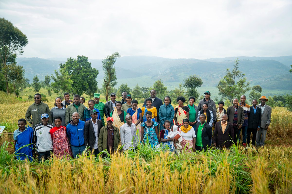 GreenFundRw's tweet photo. As the Green Gicumbi Project approaches its conclusion, Hon. @Dr_Arakwiye Minister of Environment visited the @GreenGicumbi project sites to witness the firsthand impact of the interventions, alongside our CEO @TeddyMugabo_ , the Mayor of @GicumbiDistrict, and key stakeholders.

The visit showcased the 6-year transformative efforts including radical terraces, rehabilitated degraded forests, a green model village hosting 60 vulnerable families relocated from high-risk zones, and a 50-hectare upland tea plantation.

She commended the progress achieved and encouraged communities to sustain the gains and continue leveraging opportunities for long-term resilience and prosperity.

🎬 Stay tuned for our upcoming documentary capturing the real impact and stories behind the @GreenGicumbi Project.

#GreenRwanda🇷🇼🌿| #InvestinRwanda