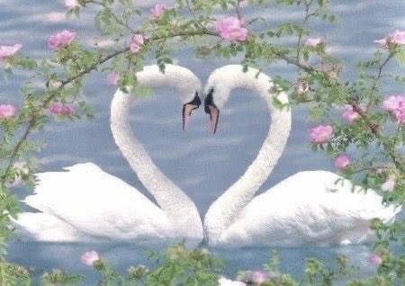 GaiaSerenity's tweet image. 