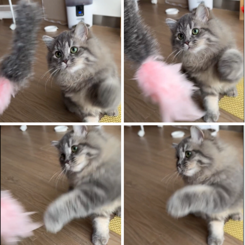 あの〜 もう3時間も持たされてるんですけどwww(pr)