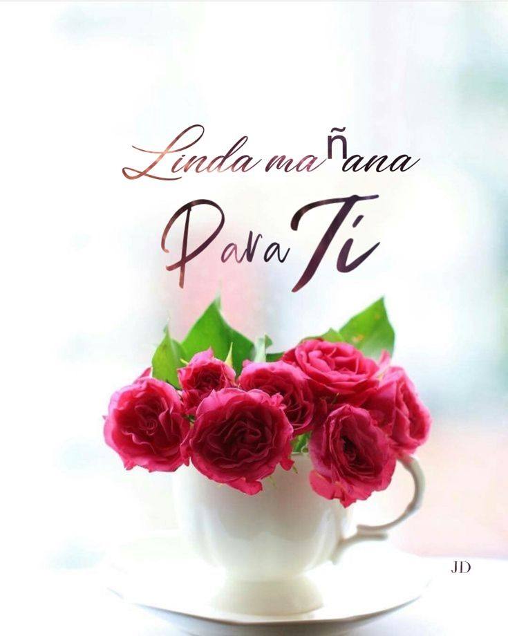 Yudy Rodriguez tweet media