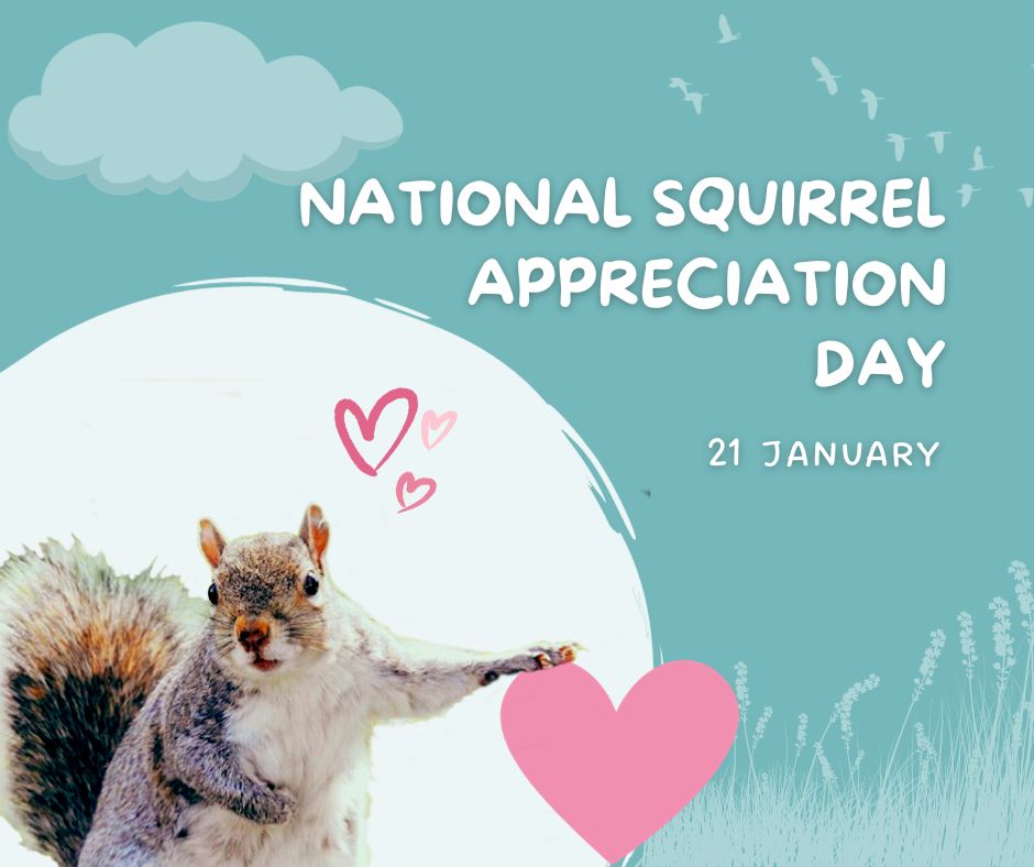 Friends of Wombwell Cemetery tweet media