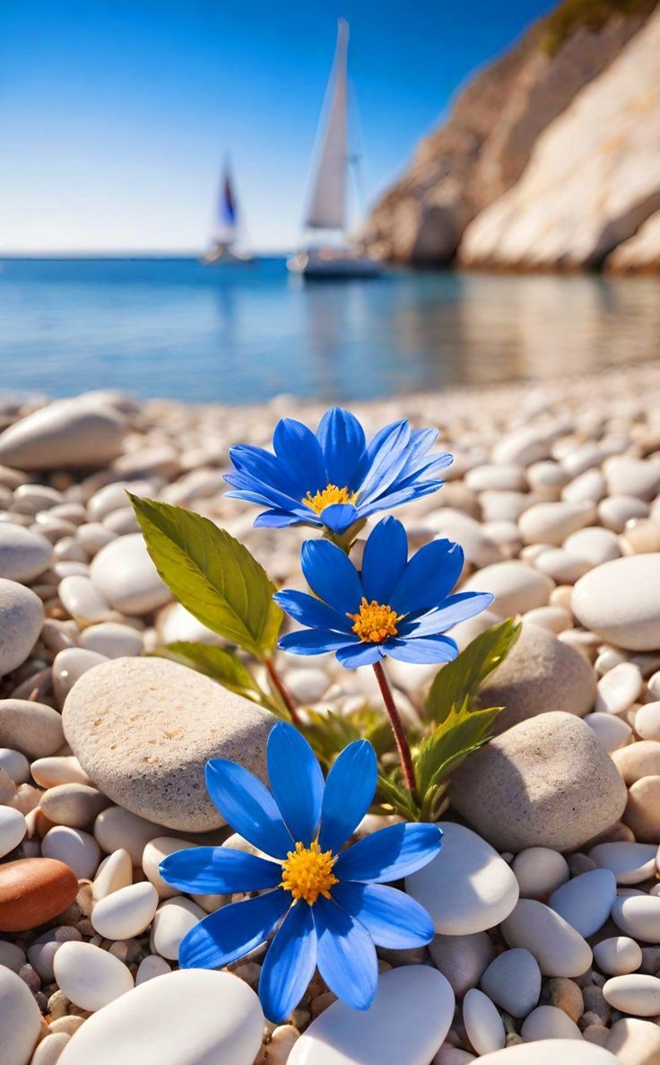 Reyna Madelayne tweet media