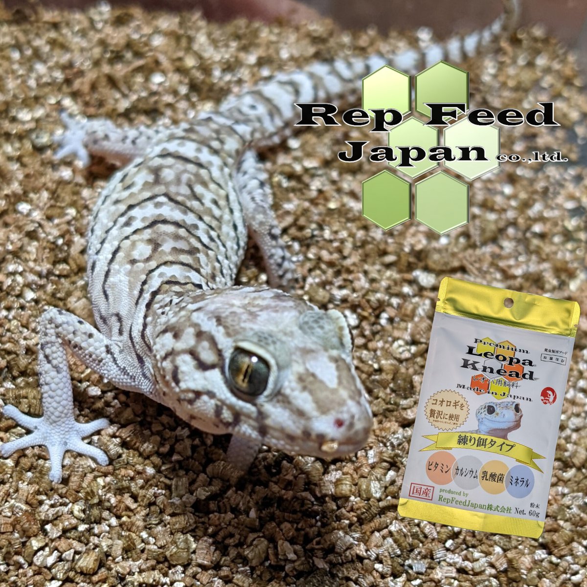 RepFeedJapan co., ltd tweet media