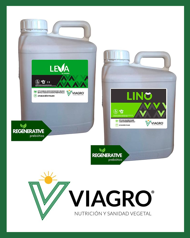 Portal Tecnoagricola tweet media