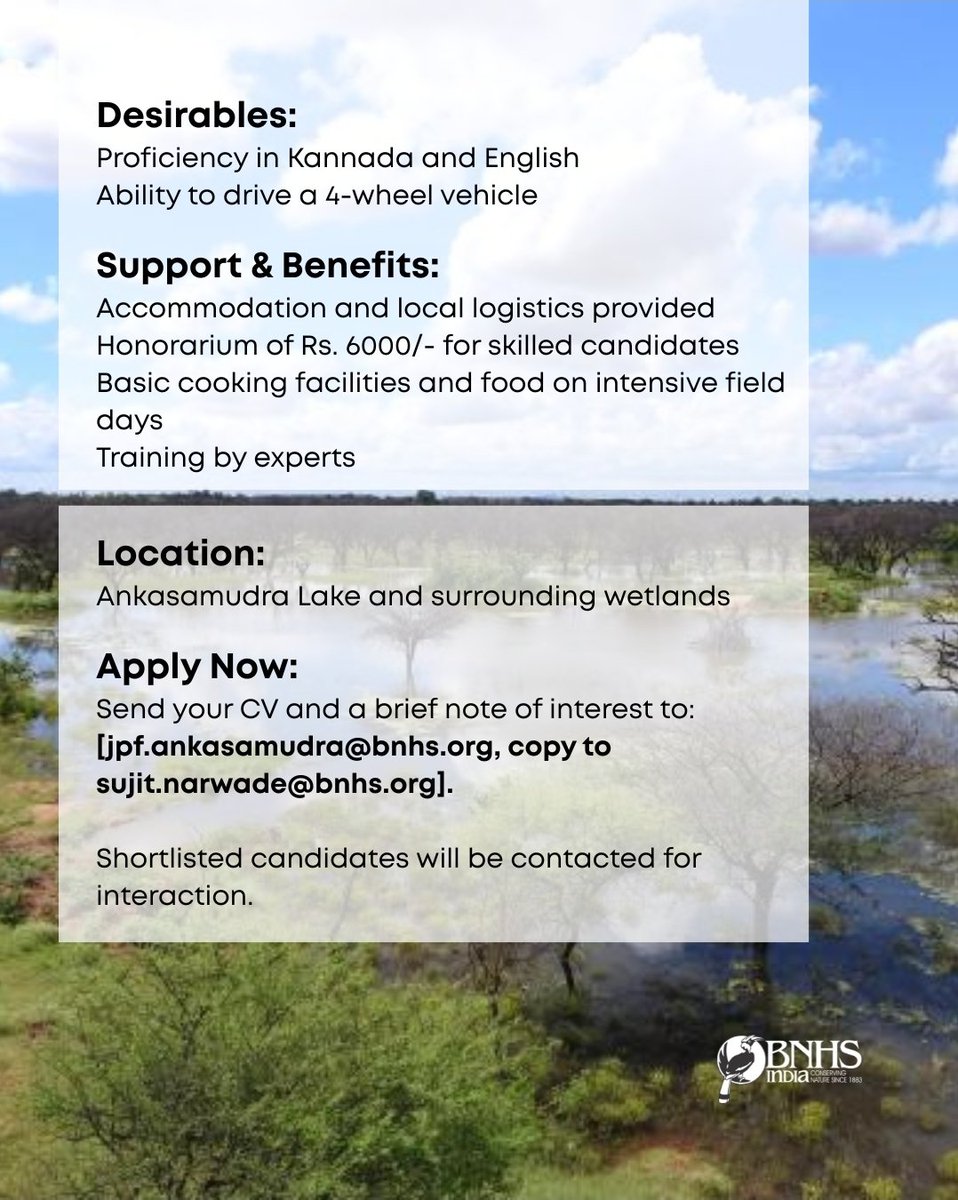 BNHSIndia's tweet photo. Project Ankasamudra is offering 3 internship positions (6 months) to work on wetland conservation &amp; bird research in Karnataka 
📧 Apply: jpf.ankasamudra@bnhs.org (cc: sujit.narwade@bnhs.org)
Send your CV + brief note #WildlifeBiology #FieldWork #BirdWatching #HiringNow https://t.co/bklnWQJfLO