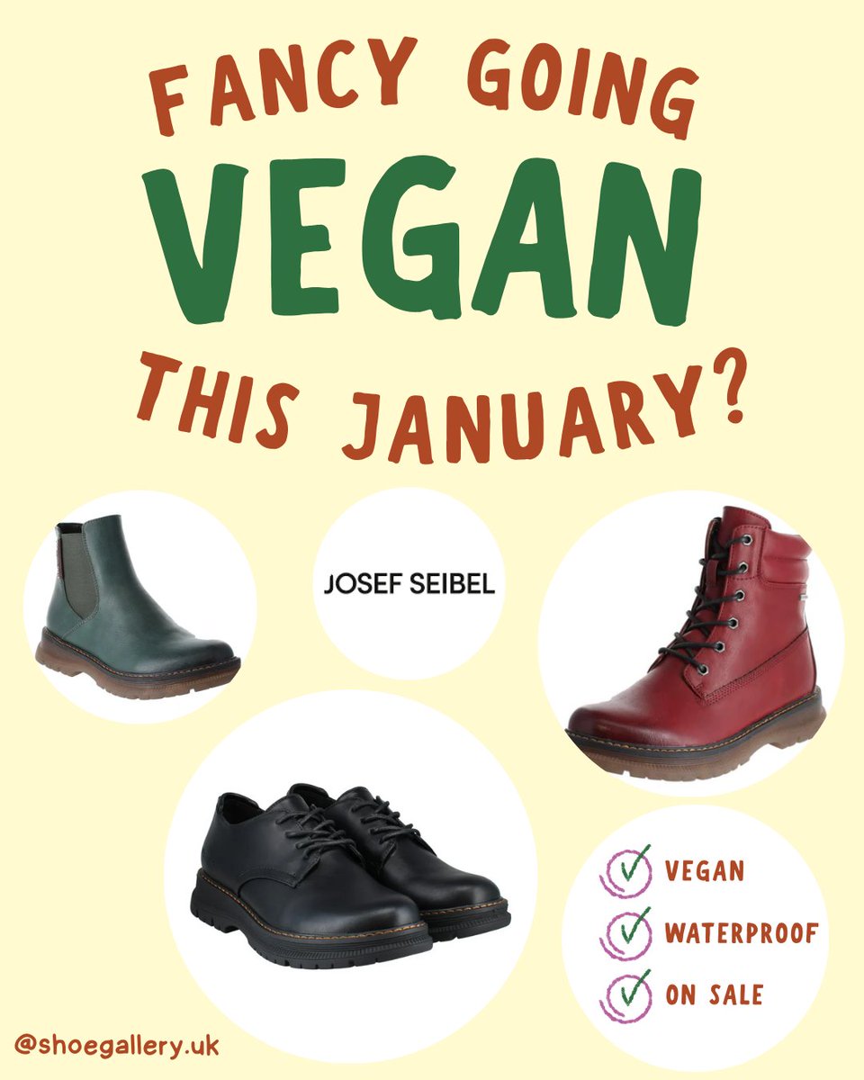 We stock a range of vegan-friendly shoes. 

You can take a look here: f.mtr.cool/cjmuxzario