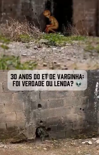RT en Español tweet media