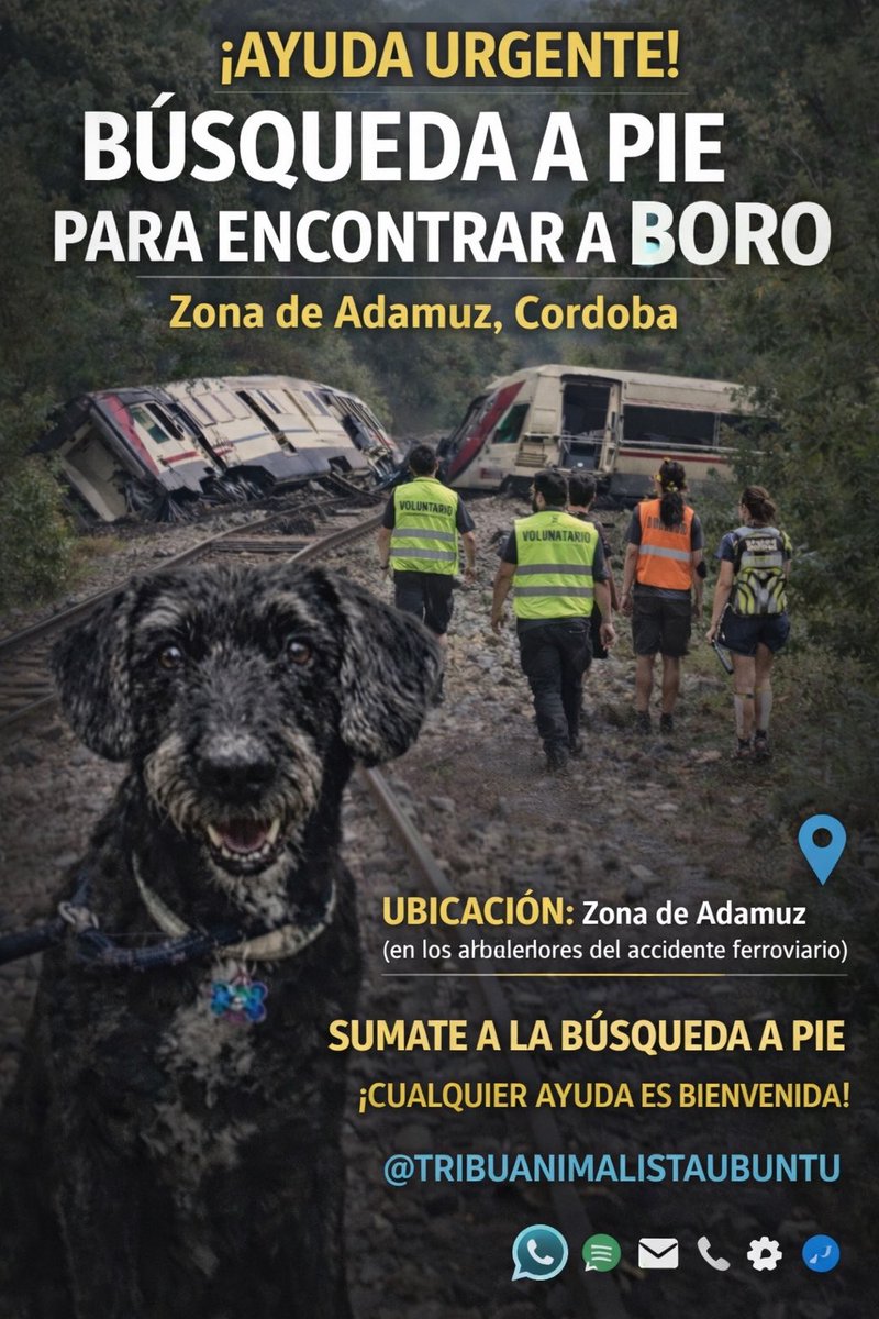 veronicadoval's tweet photo. ⚠️ IMPORTANTE
Búsqueda a pie para encontrar a Boro en la zona de Adamuz (Córdoba)
Cualquier persona que quiera ayudar caminando y con respeto al entorno es bienvenida
Gracias x compartir

#busqueda #sebusca #perros #Cordoba #Malaga #Jaen #CiudadReal #Sevilla #Madrid #difundir #RT https://t.co/9WU4s7SncZ